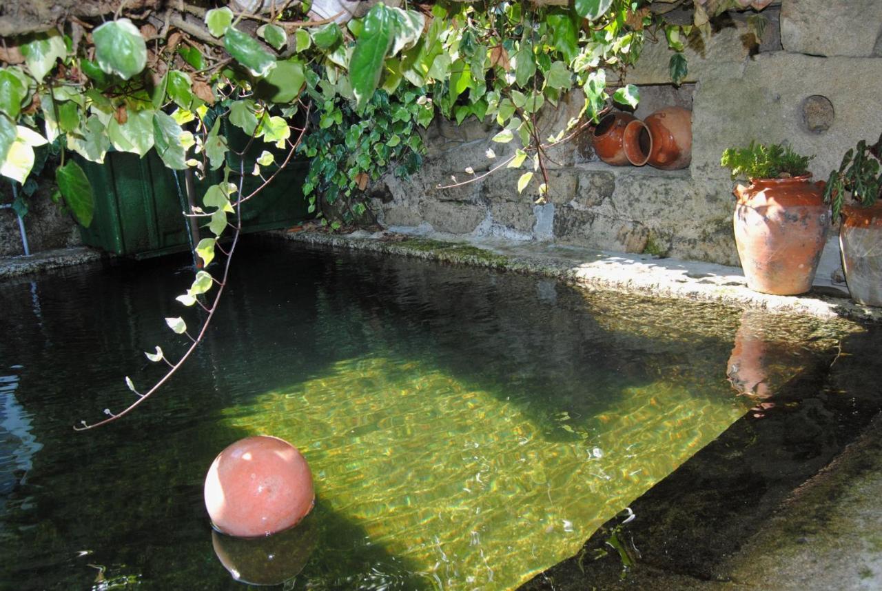 Appartamento Casa De Cerqueda Celorico De Basto Esterno foto
