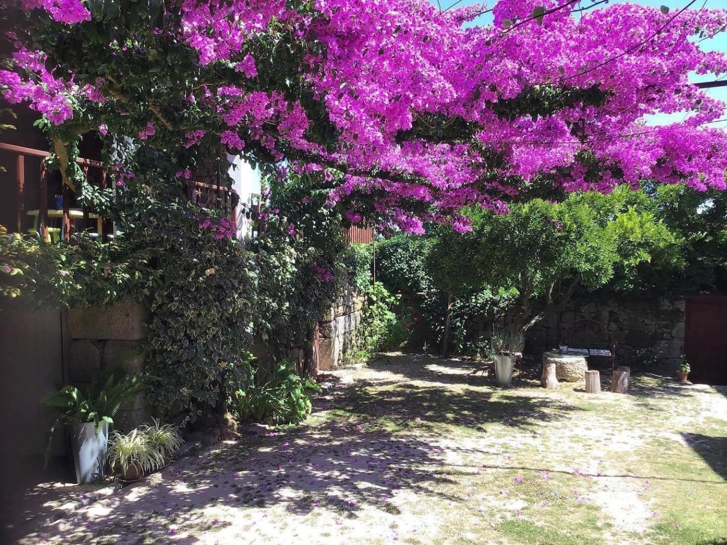 Appartamento Casa De Cerqueda Celorico De Basto Esterno foto