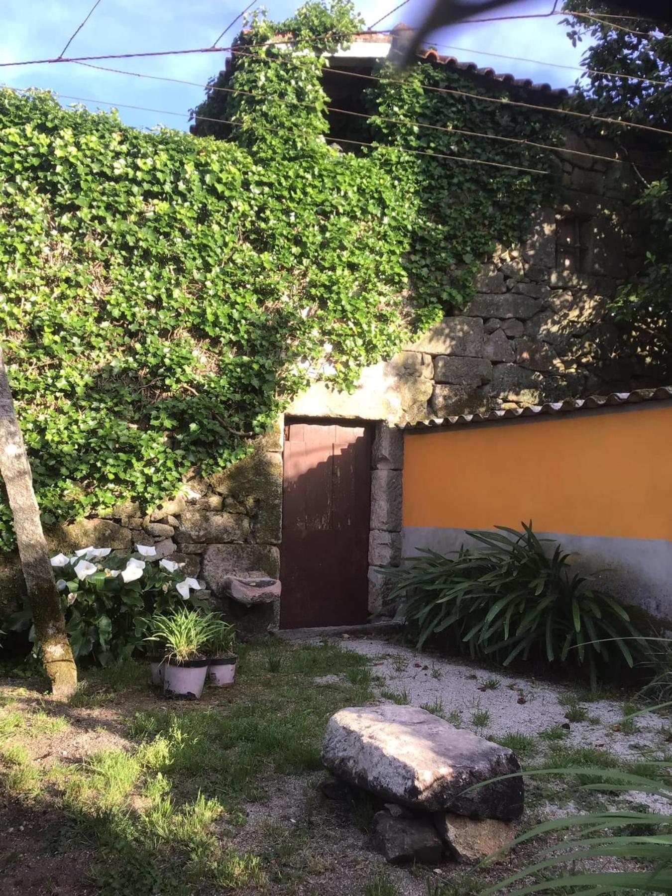 Appartamento Casa De Cerqueda Celorico De Basto Esterno foto