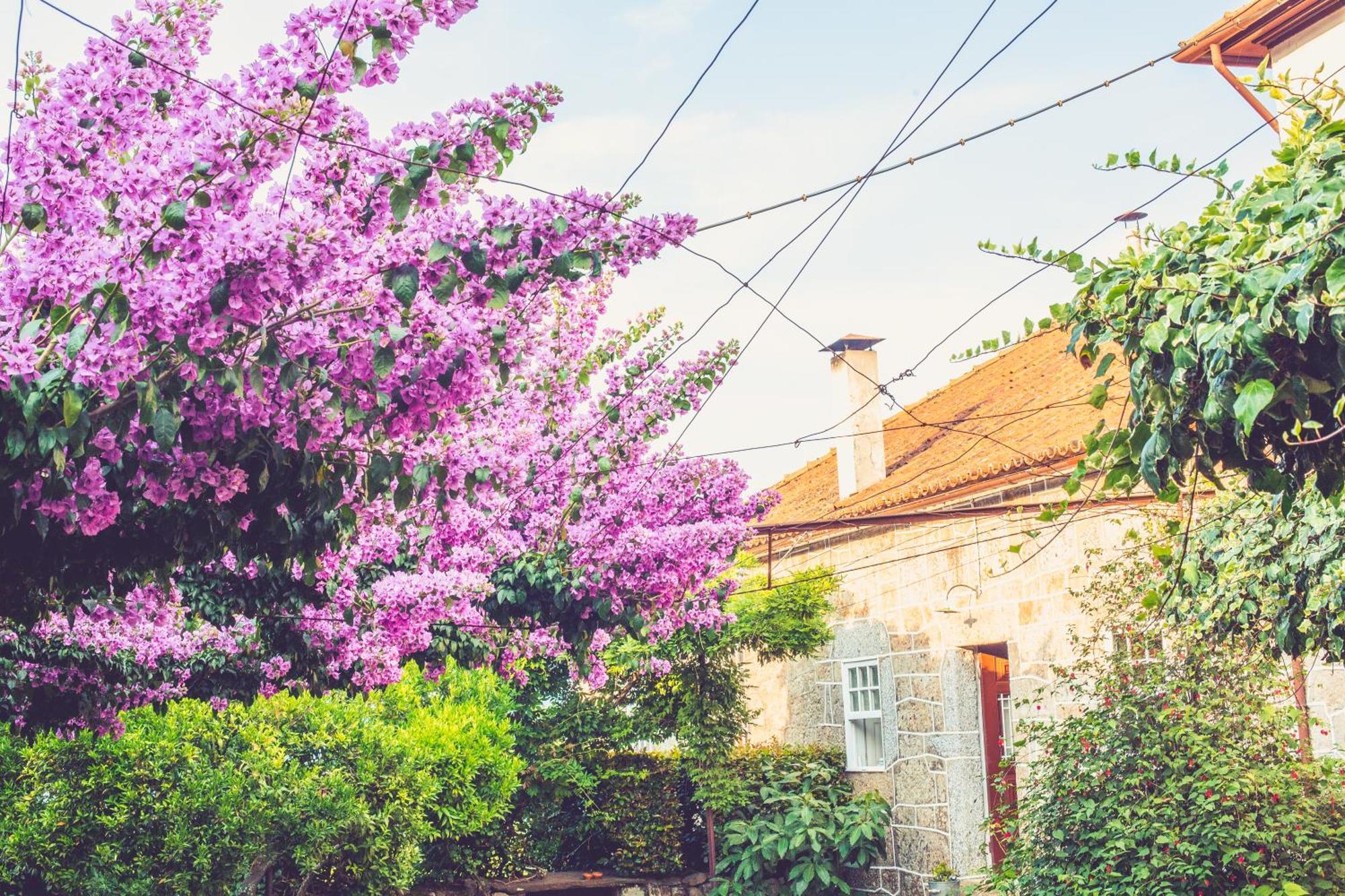 Appartamento Casa De Cerqueda Celorico De Basto Esterno foto