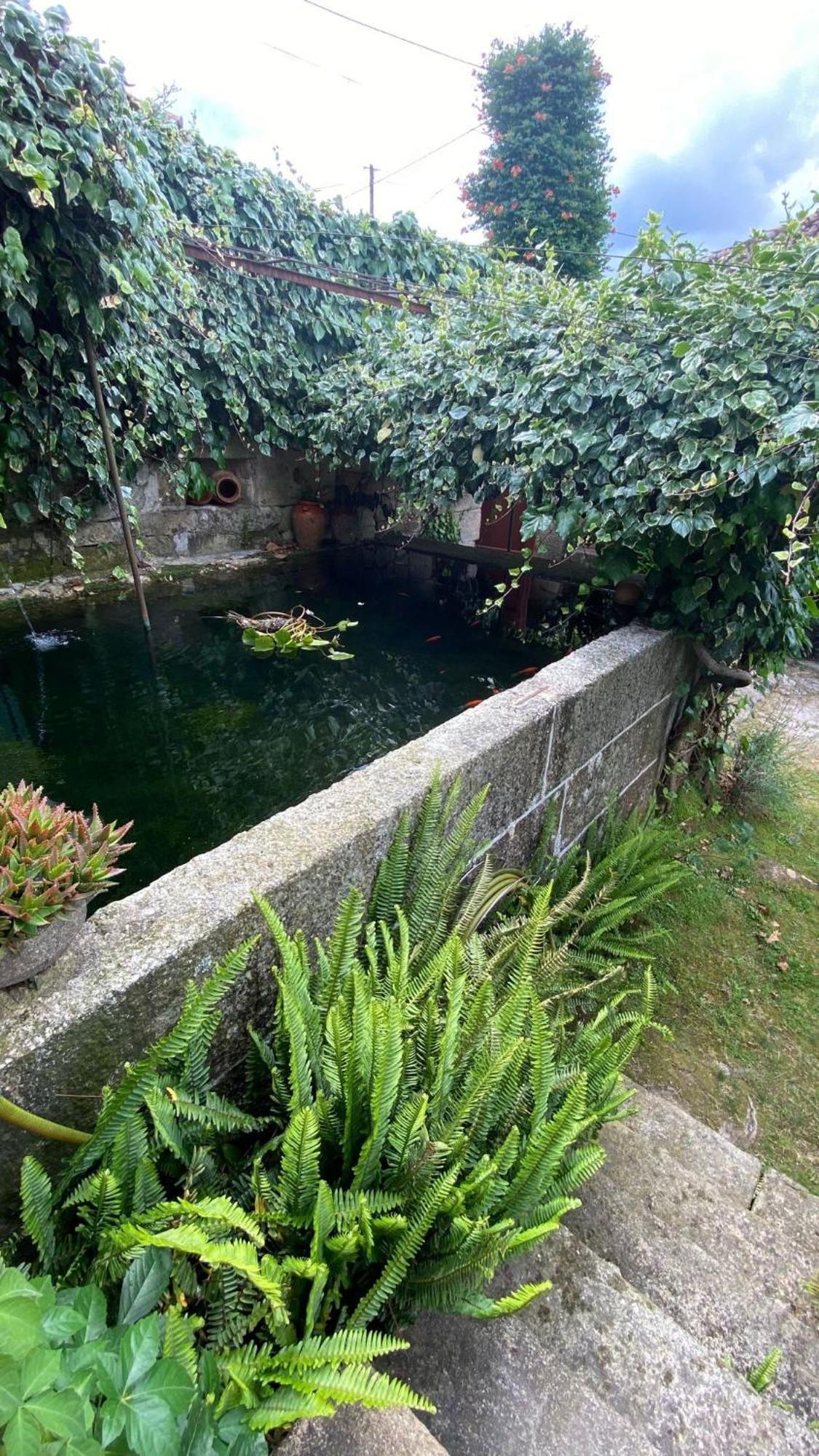Appartamento Casa De Cerqueda Celorico De Basto Esterno foto