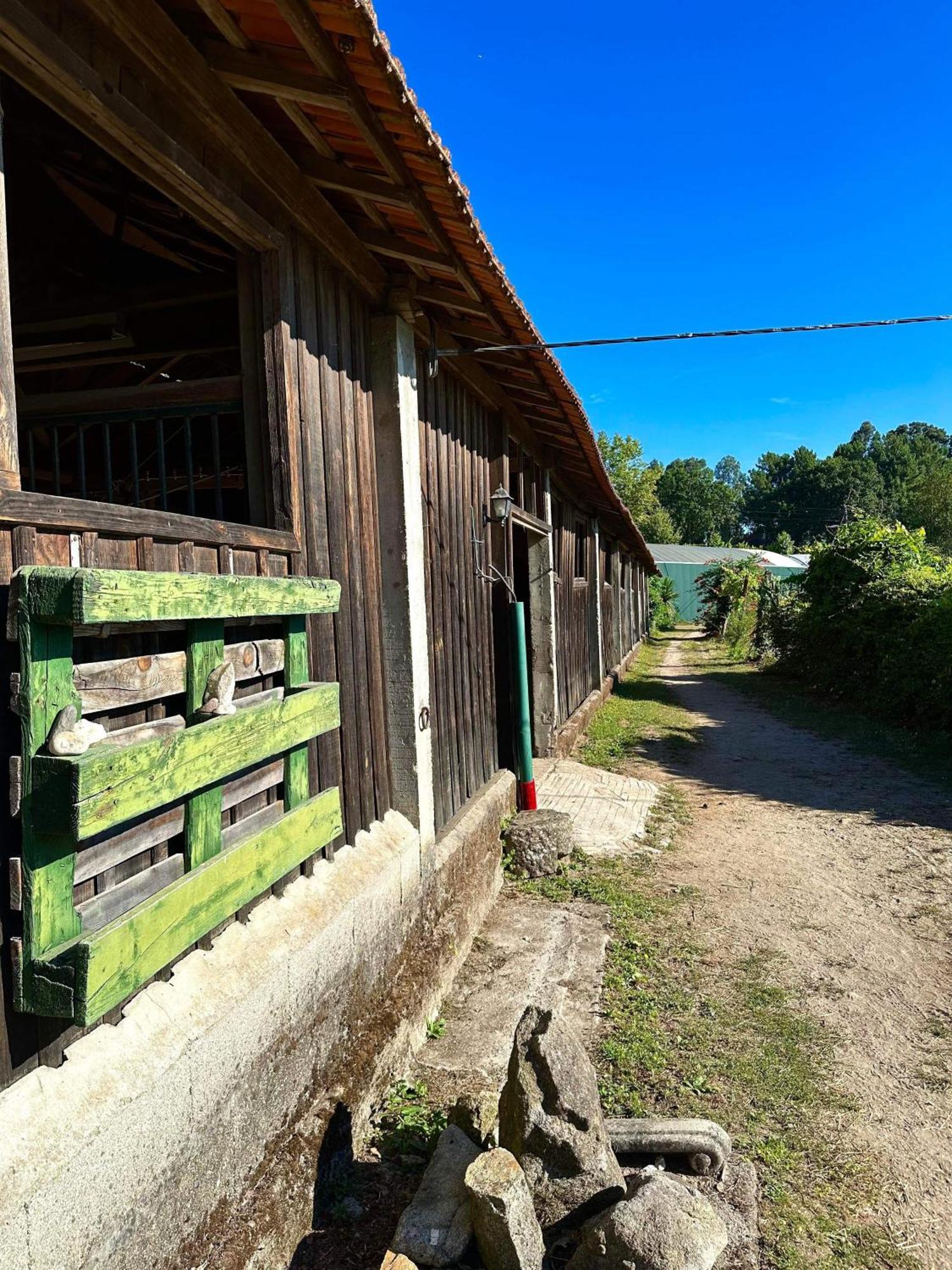 Appartamento Casa De Cerqueda Celorico De Basto Esterno foto