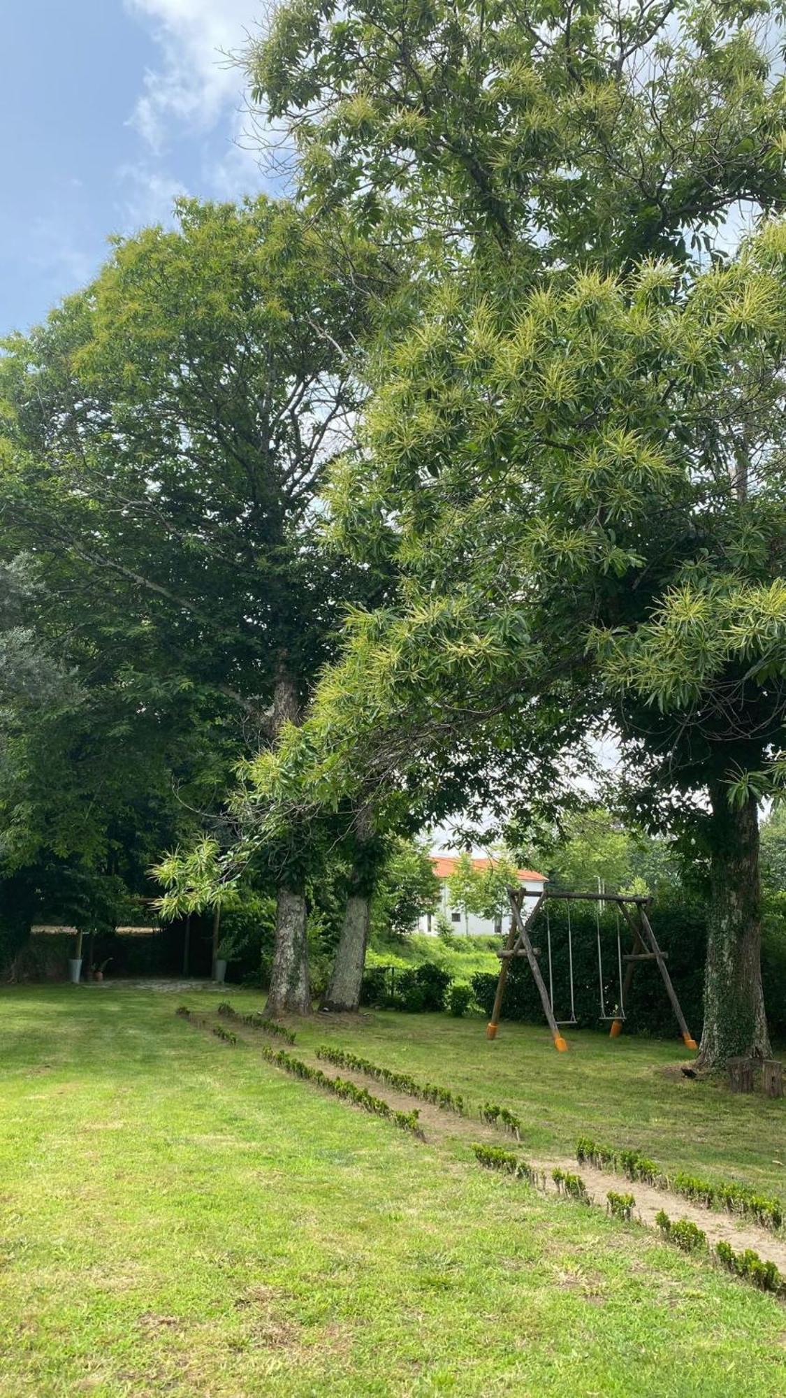 Appartamento Casa De Cerqueda Celorico De Basto Esterno foto