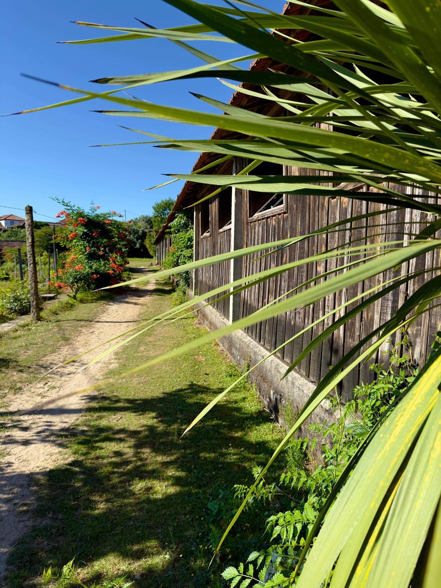 Appartamento Casa De Cerqueda Celorico De Basto Esterno foto